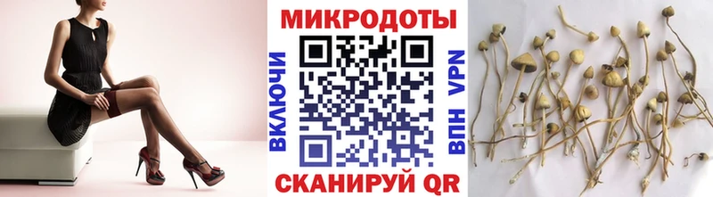 Галлюциногенные грибы ЛСД  наркота  Тихвин 