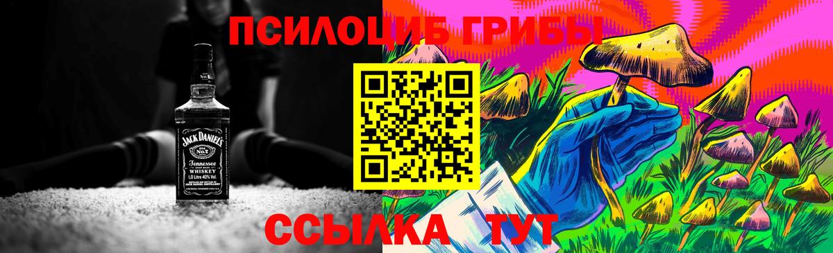 Тихвин  где продают наркотики  Псилоцибиновые грибы Magic Shrooms  Вход с VPN  Галлюциногенные грибы прущие грибы 
